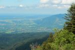 2014-07-05_Laengental-N-Hochweg (629). JPG